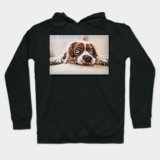 Cavalier King Charles Spaniel Hoodie